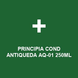 PRINCIPIA COND ANTIQUEDA AQ-01 250ML