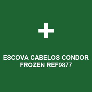 ESCOVA CABELOS CONDOR FROZEN REF9877