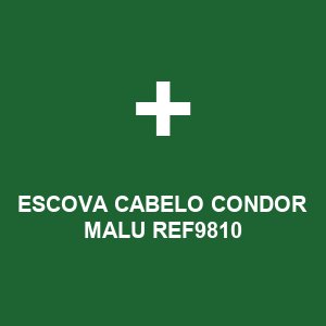 ESCOVA CABELO CONDOR MALU REF9810