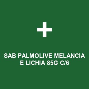 SAB PALMOLIVE MELANCIA E LICHIA 85G C/6