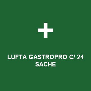 LUFTA GASTROPRO C/ 24 SACHE