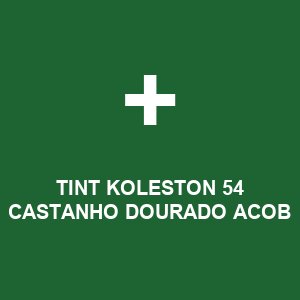 TINT KOLESTON    54 CASTANHO DOURADO ACOB