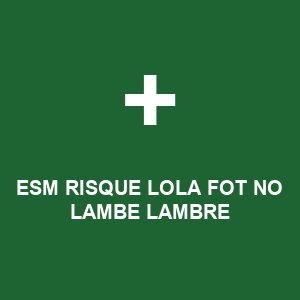ESM RISQUE LOLA FOT NO LAMBE LAMBRE
