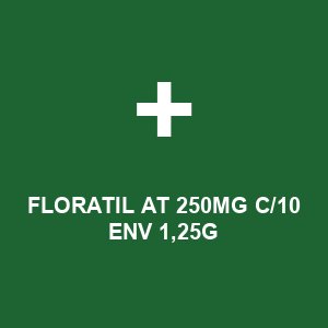 FLORATIL AT 250MG C/10 ENV 1,25G