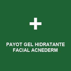 PAYOT GEL HIDRATANTE FACIAL ACNEDERM