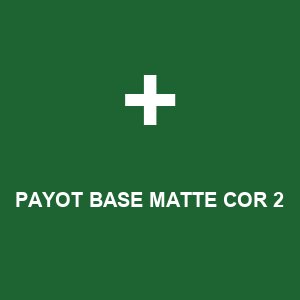 PAYOT BASE MATTE COR 2