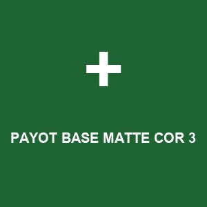 PAYOT BASE MATTE COR 3