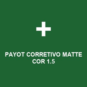 PAYOT CORRETIVO MATTE COR 1.5