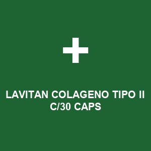 LAVITAN COLAGENO TIPO II C/30 CAPS