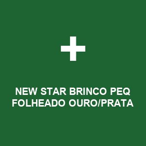 NEW STAR BRINCO PEQ FOLHEADO OURO/PRATA
