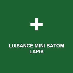 LUISANCE MINI BATOM LAPIS
