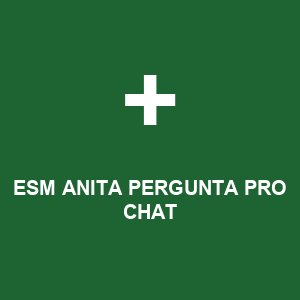 ESM ANITA PERGUNTA PRO CHAT
