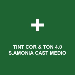 TINT COR & TON  4.0 S.AMONIA CAST MEDIO