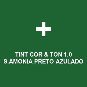TINT COR & TON  1.0 S.AMONIA PRETO AZULADO