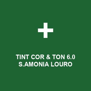 TINT COR & TON  6.0 S.AMONIA LOURO