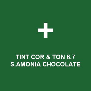 TINT COR & TON  6.7 S.AMONIA CHOCOLATE