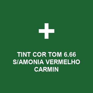 TINT COR TOM 6.66 S/AMONIA VERMELHO CARMIN