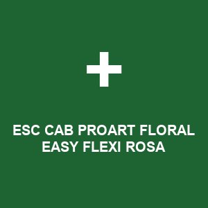 ESC CAB PROART FLORAL EASY FLEXI ROSA